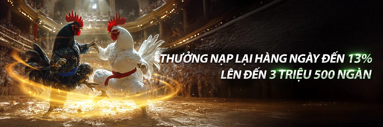 Hình ảnh giới thiệu Nextbet hiện đang mở