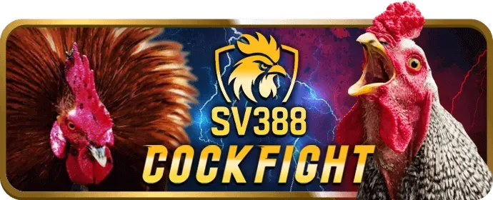 Ưu Đãi Nạp Lại Hàng Ngày Nextbet